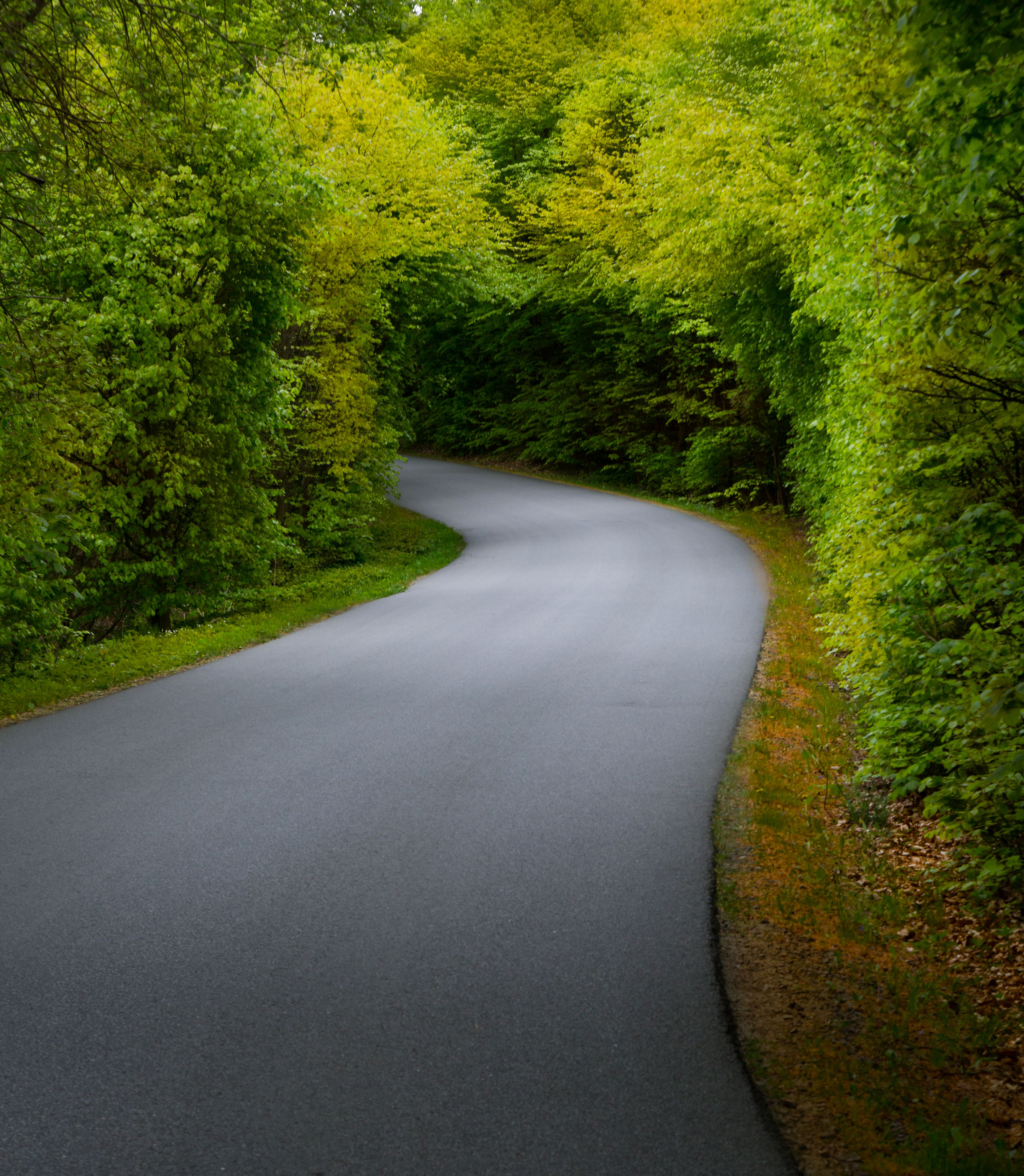 Freshly paved asphalt road with green surroundings in Utah Valley