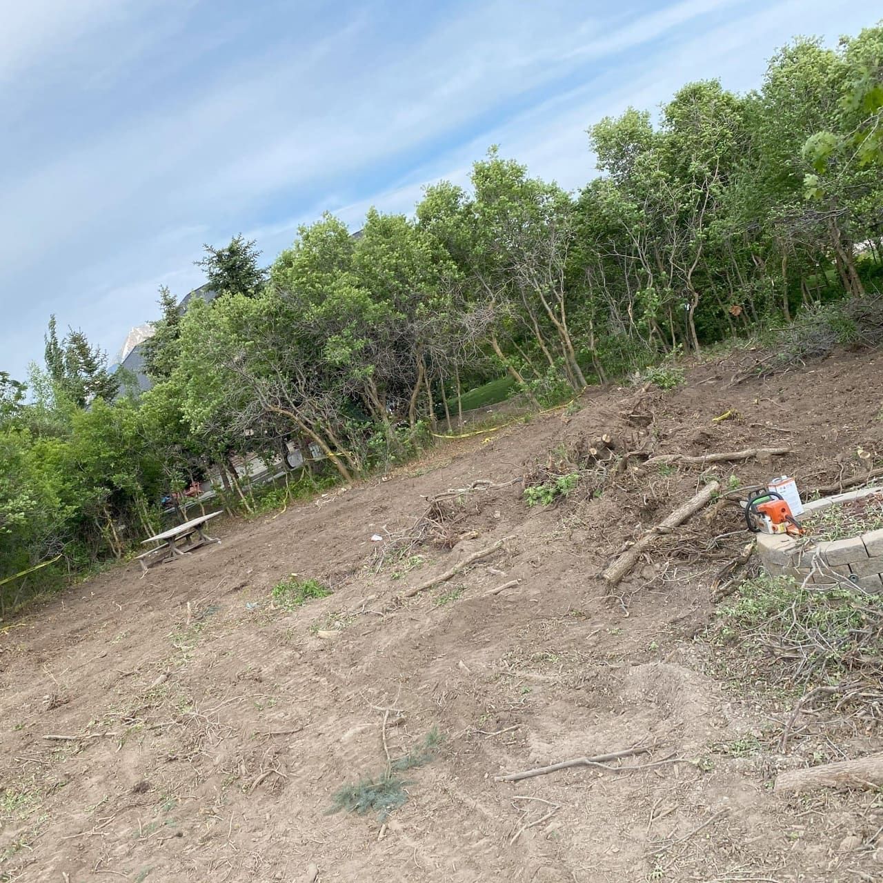 Land Clearing in Utah Valley, UT by J&C Asphalt